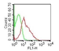 GITR/TNFRSF18 Antibody (DTA-1), FITC, Novus Biologicals 0.1mg; FITC:Antibodies,